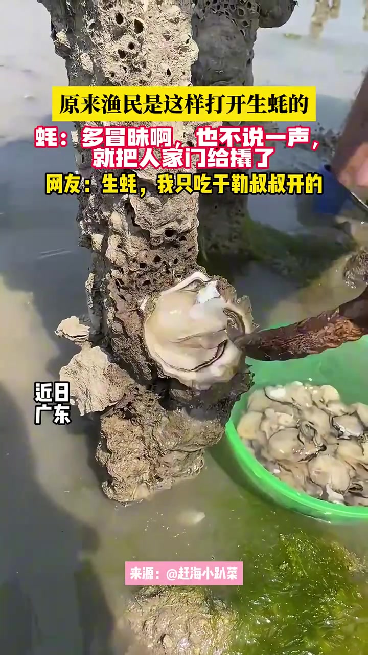 太解压！生蚝我只吃于勒叔叔开的！
