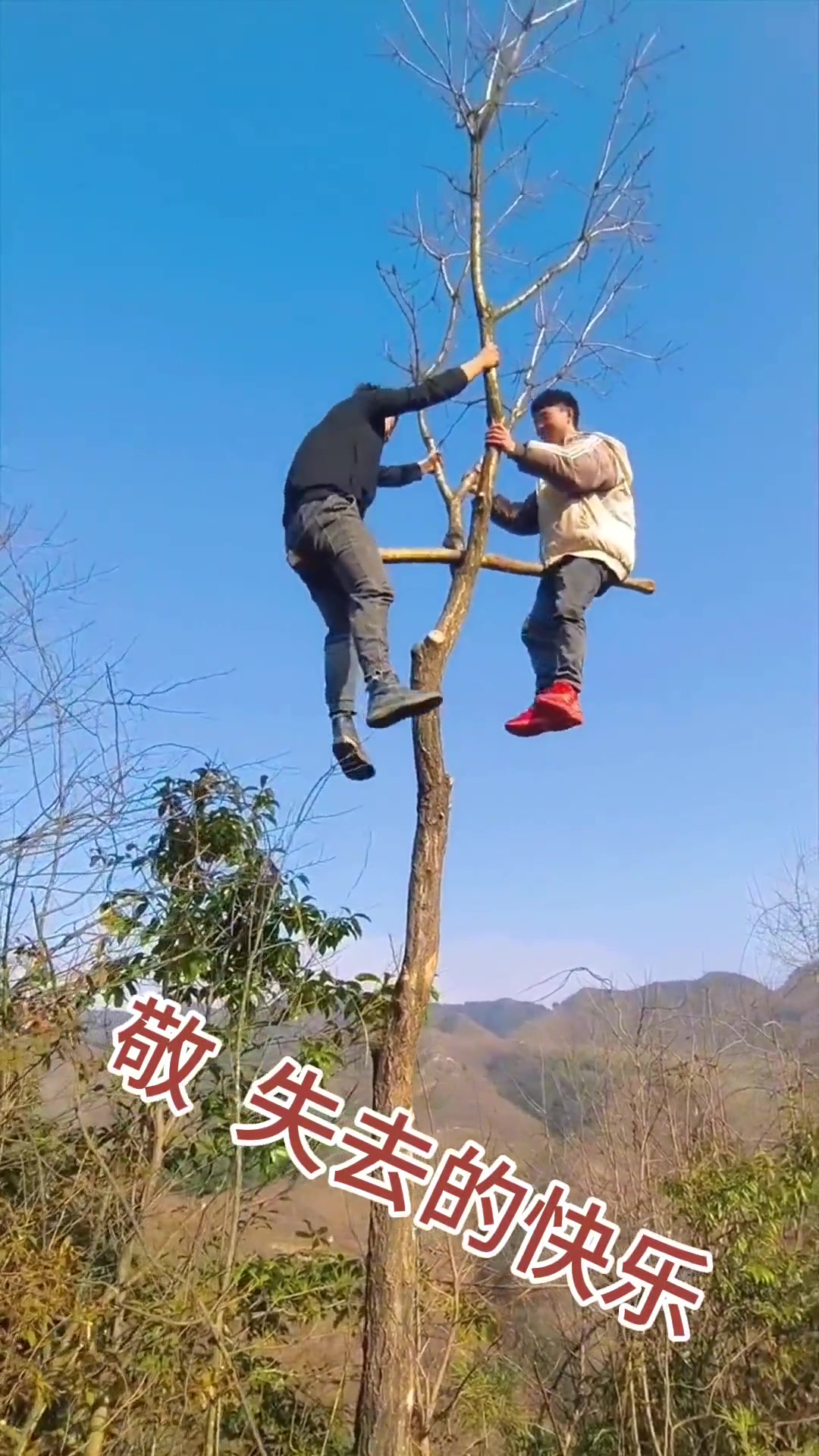 所谓生活一半惊喜一半遗憾