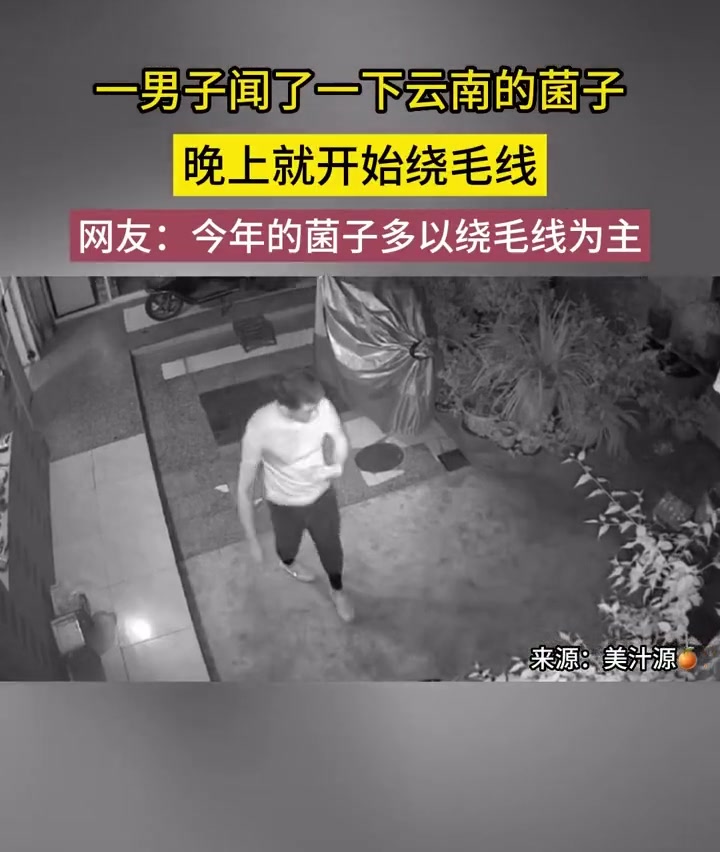 一男子闻了一下云南的菌子，晚上就开始绕毛线
