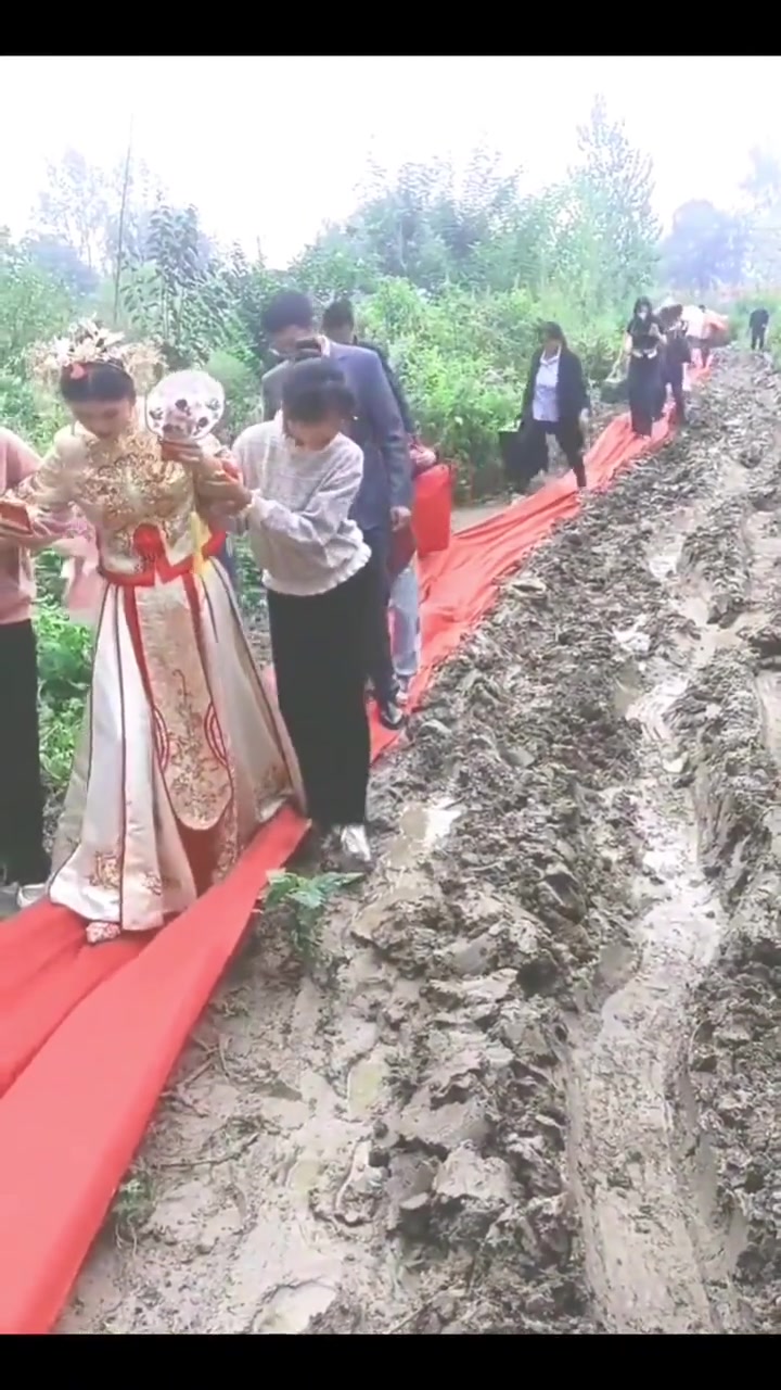 骨头掉地上，狗都找不出