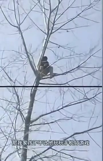 不让孩子打游戏，孩子犟爬树上打游戏