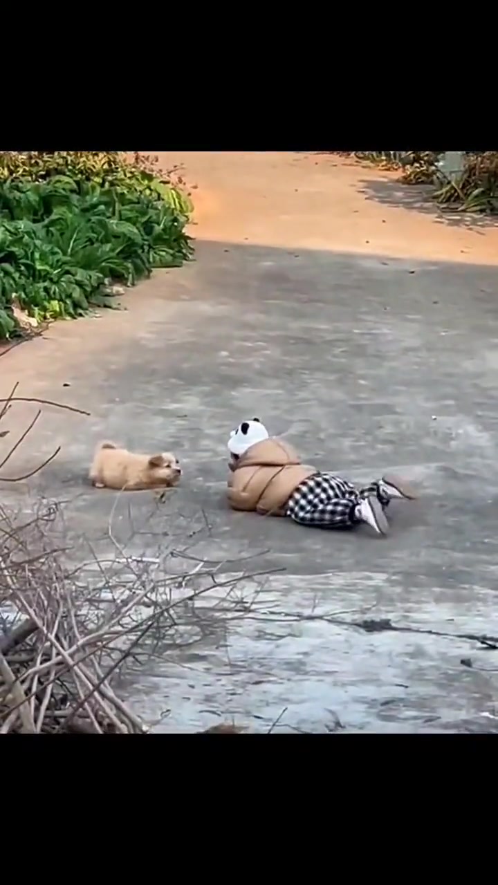 让生活慢下来 难道这就是传说中的无忧无虑