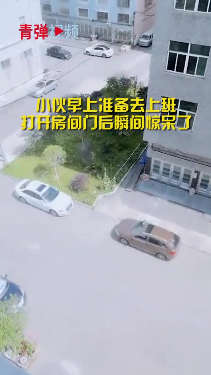 小伙早上准备去上班 打开房门后瞬间惊呆了
