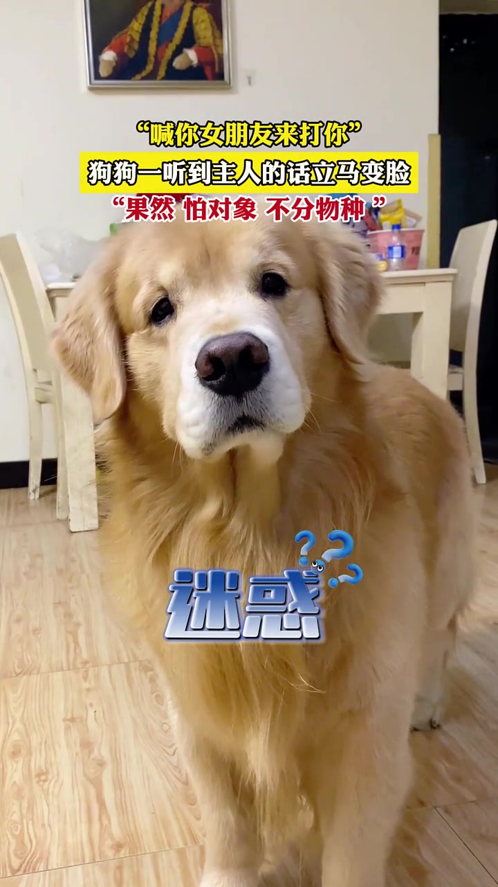 夫妻不和多半是老人无德！先反思