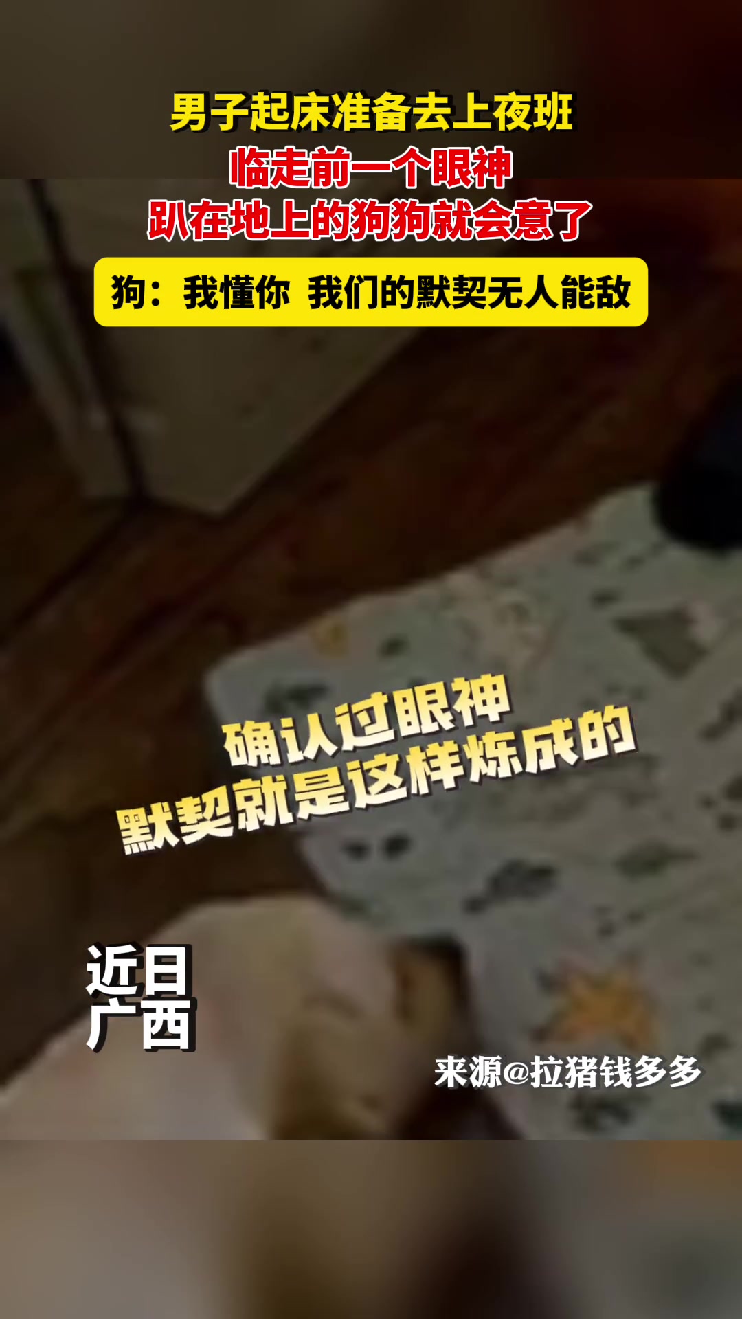 起床触发回笼子开关！