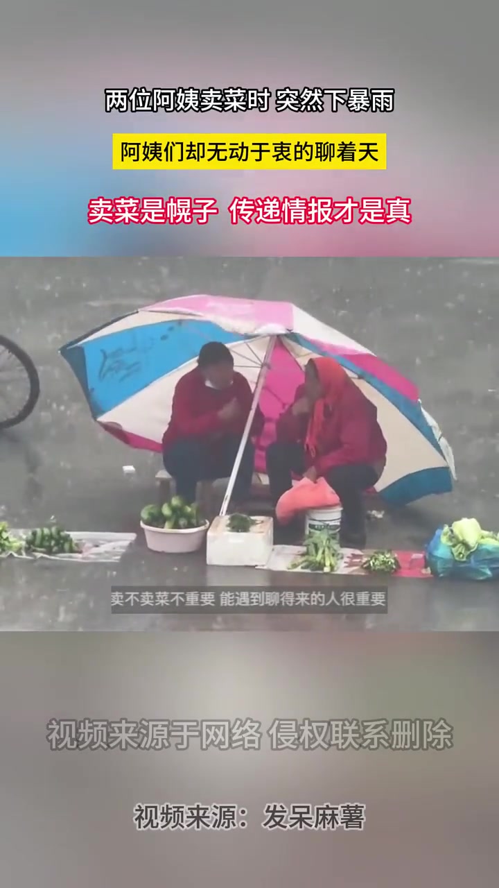两位阿姨卖菜时突然下暴雨，阿姨们却无动于衷的聊着.