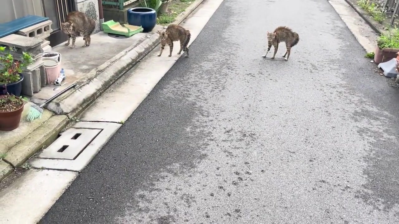 一家子就要整整齐齐的