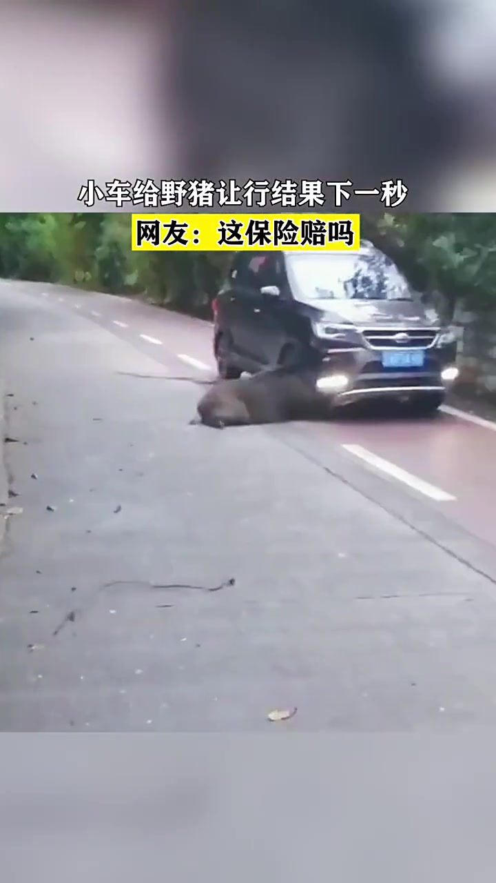 这，保险赔吗？