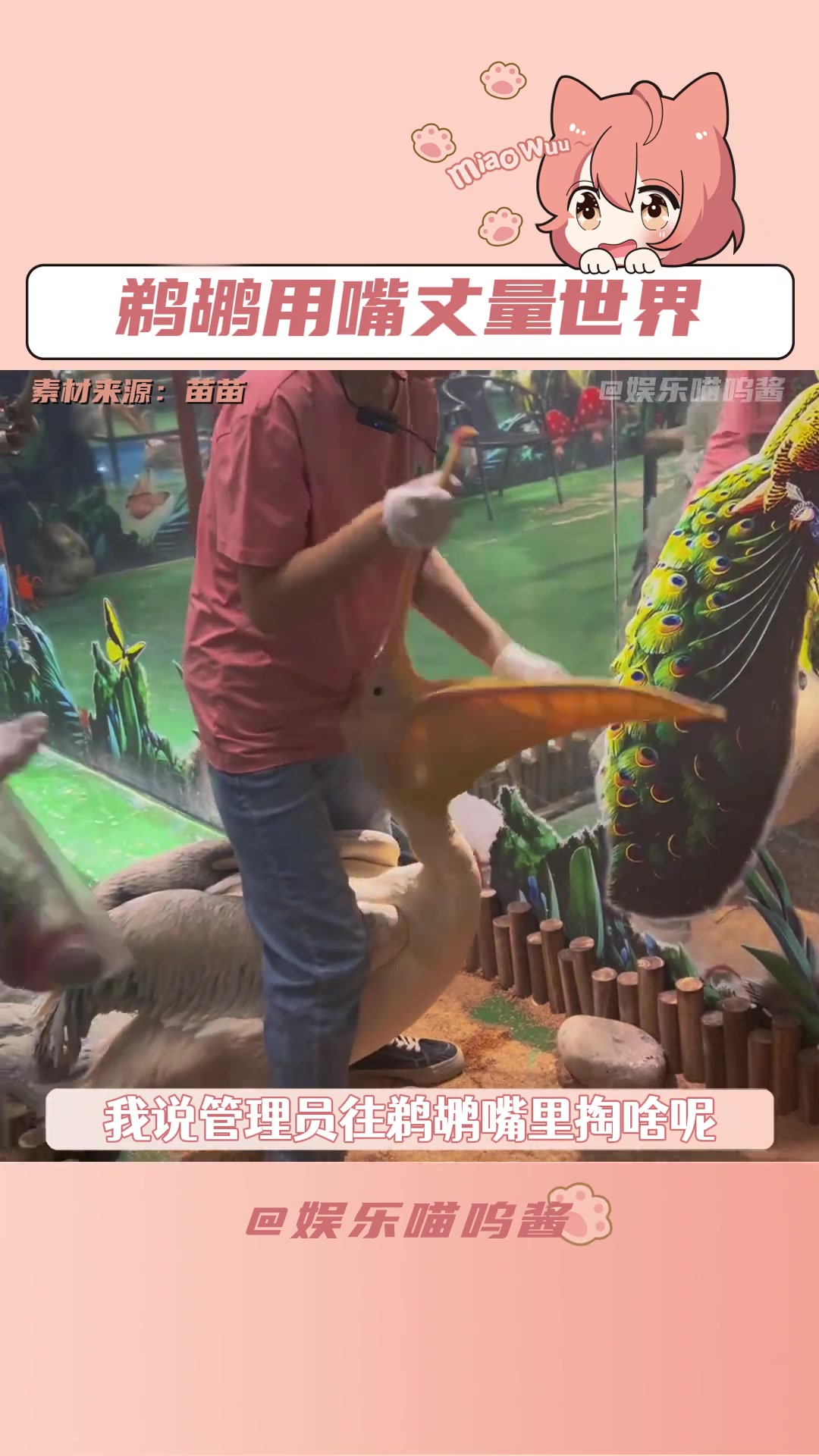 鹈鹕见谁都是管它好不好吃，能不能吃，先让我尝尝想法