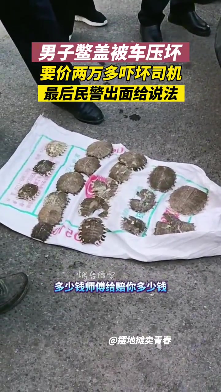 上周冒充商周？男子鳖盖被车压坏，要价两万多！