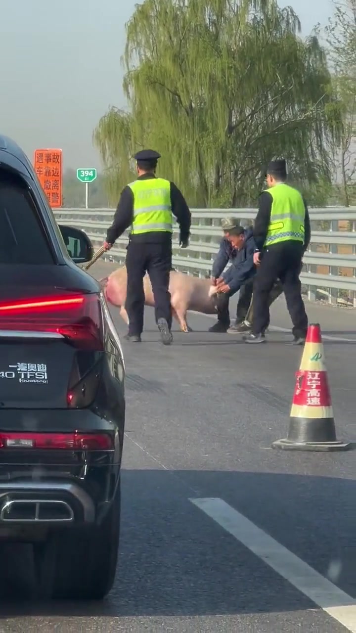永远不知道高速堵车的源头是啥