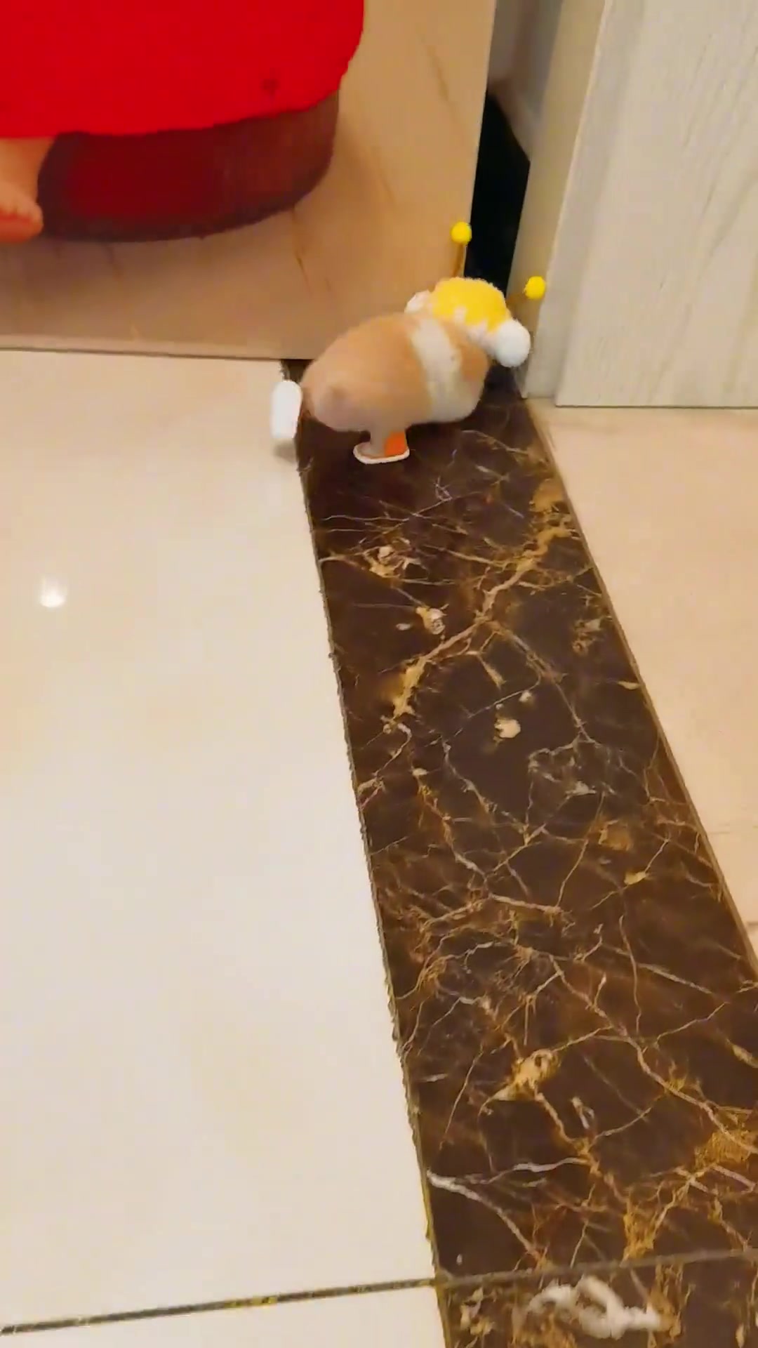 哒哒哒，魔性小蜜蜂来啦