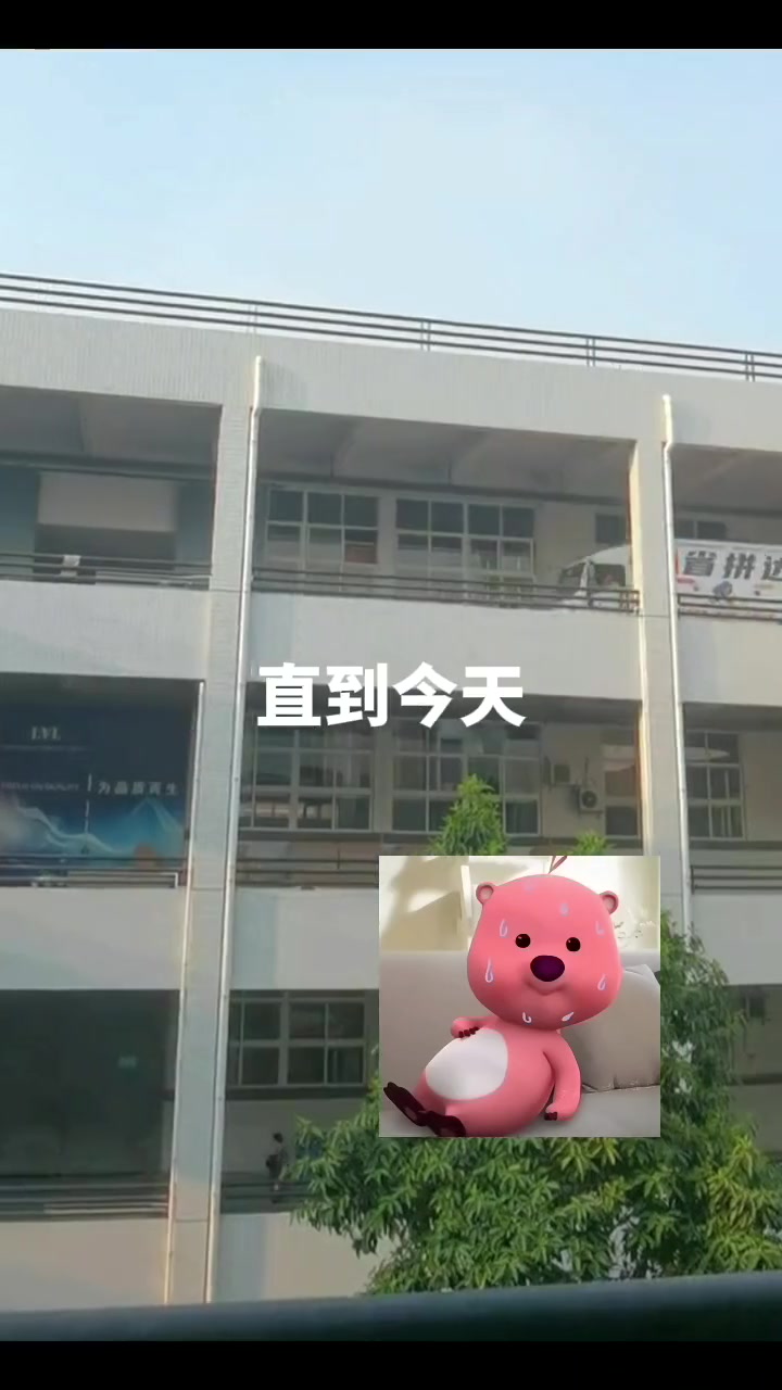 我想知道车是怎么开上去的
