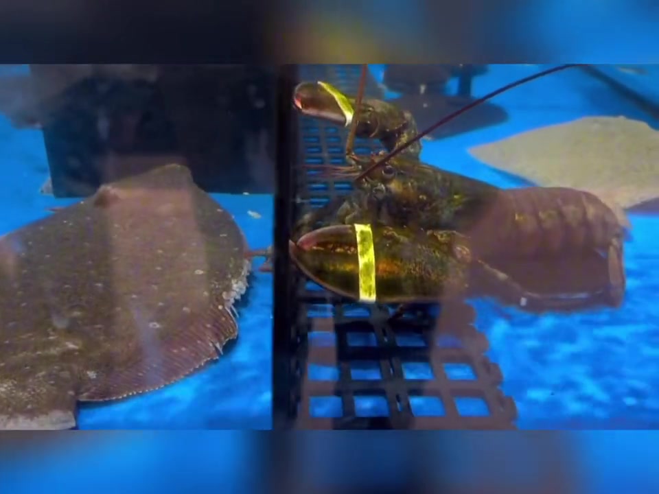 老板快来啊 你家128在吃你家28