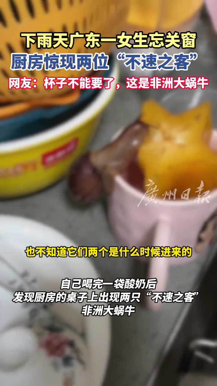 女子雨天晚上忘关窗，结果厨房桌上惊现两“不速之客”
