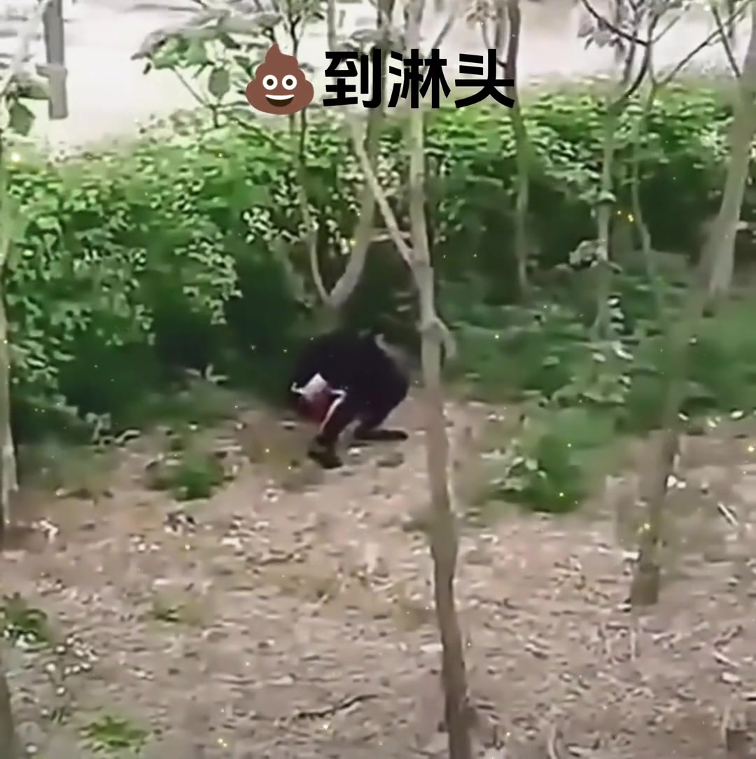 原谅我不厚道的笑了 沙雕视频