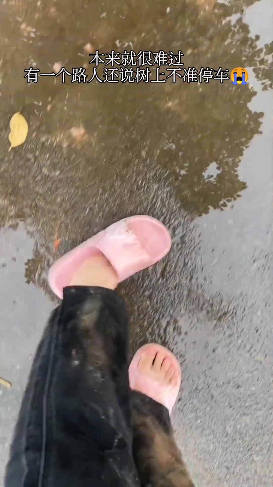 遇到凡事不要慌