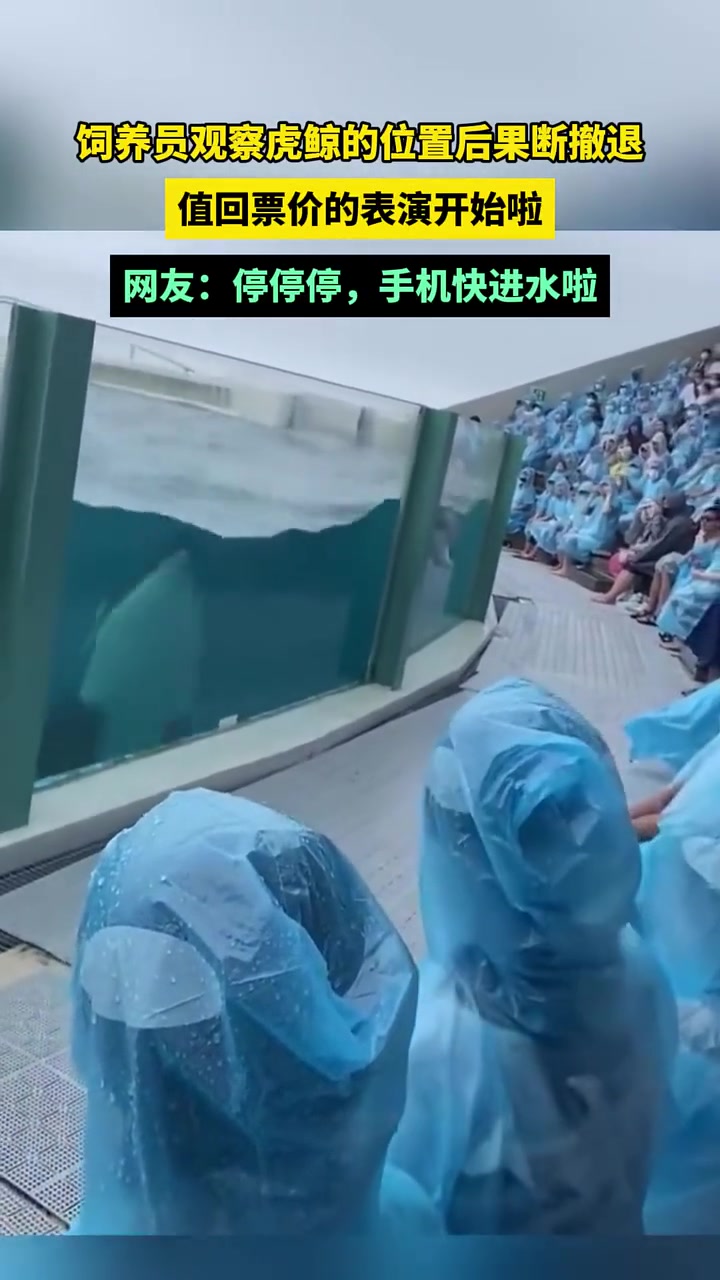 鲸:就问你们，坐前面值不值吧