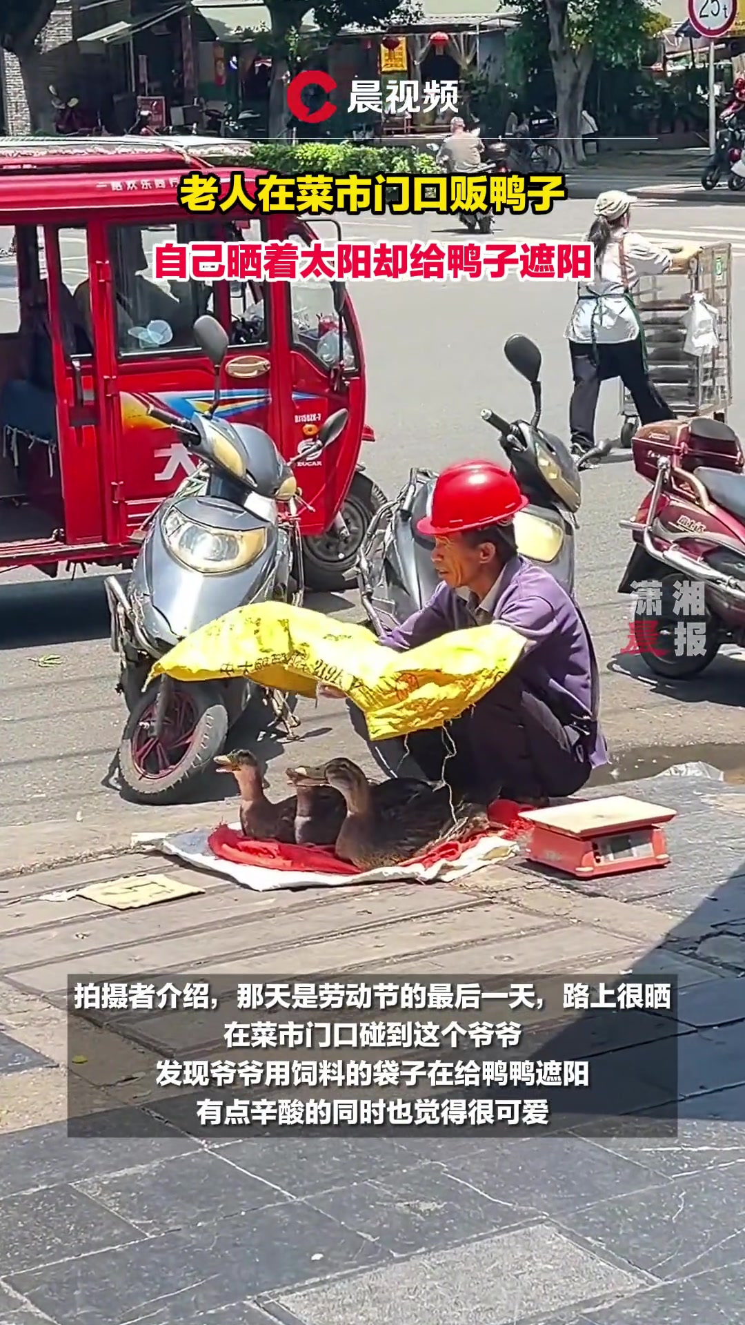 老人在菜市门口贩鸭子，自己晒着太阳却舍不得鸭子被晒