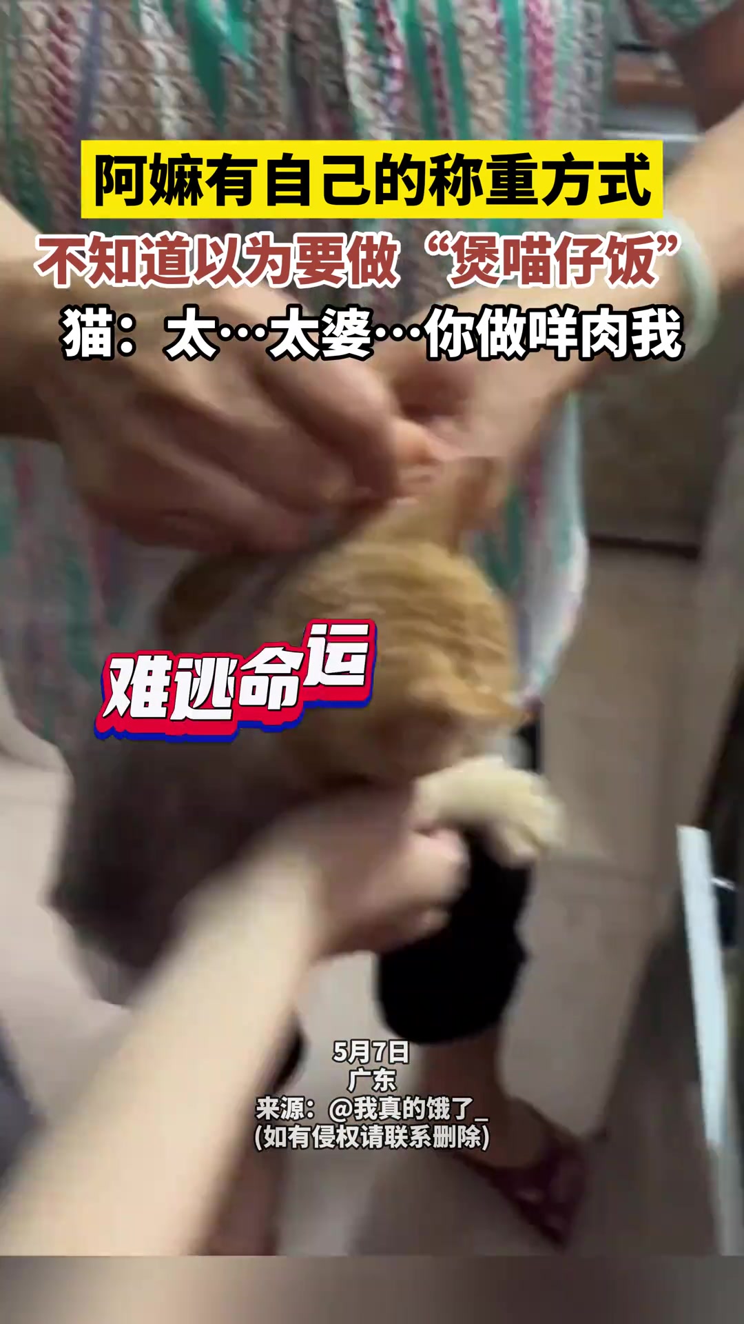 阿嫲有自己的称重方式