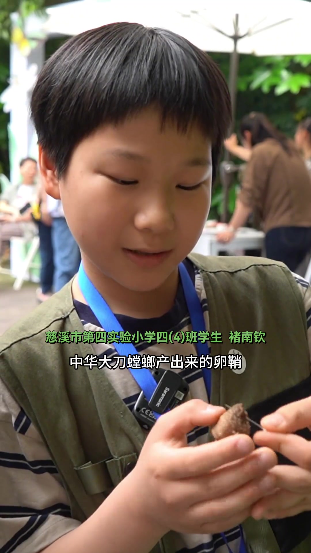 十岁男孩迷恋上了昆虫世界，成为行走的“昆虫百科全书