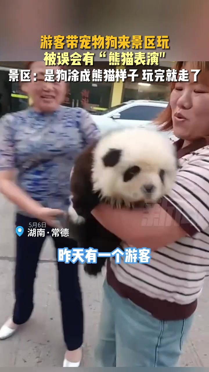 游客带宠物狗来景区玩被误会有熊猫表演