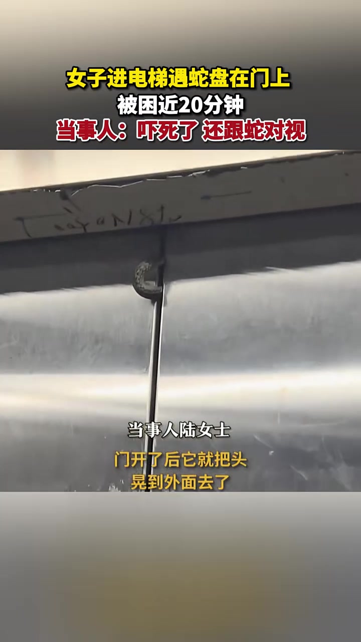 吓人！女子进电梯遇蛇盘在门上！