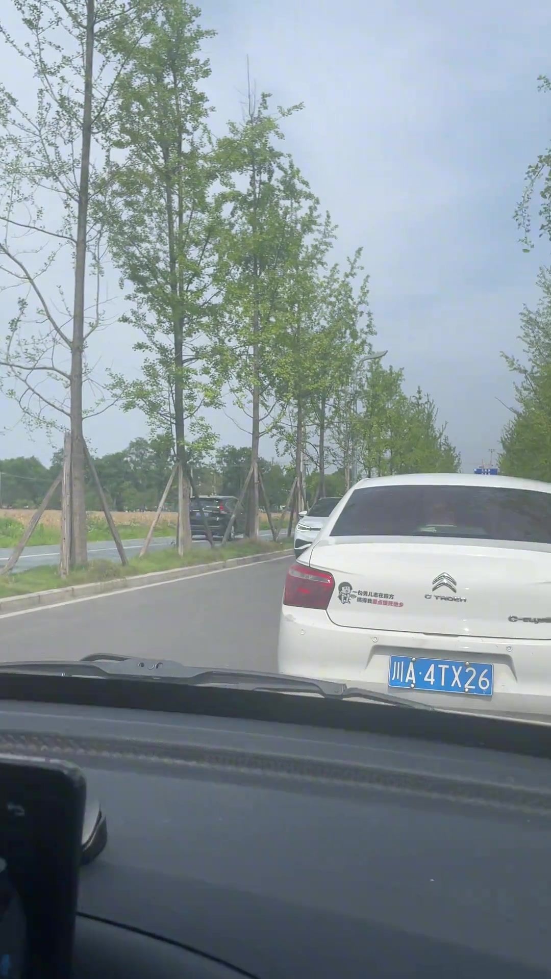 这个掉头好像下定了某种决心，没有丝毫犹豫