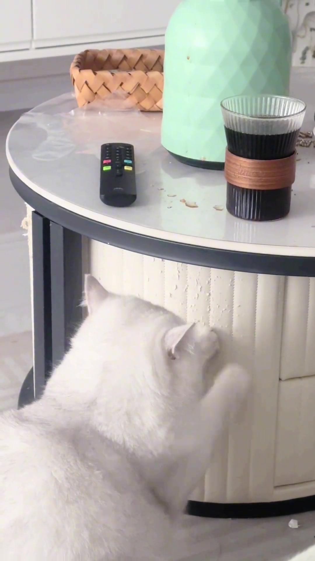 这就是养猫的烦恼之一吗？