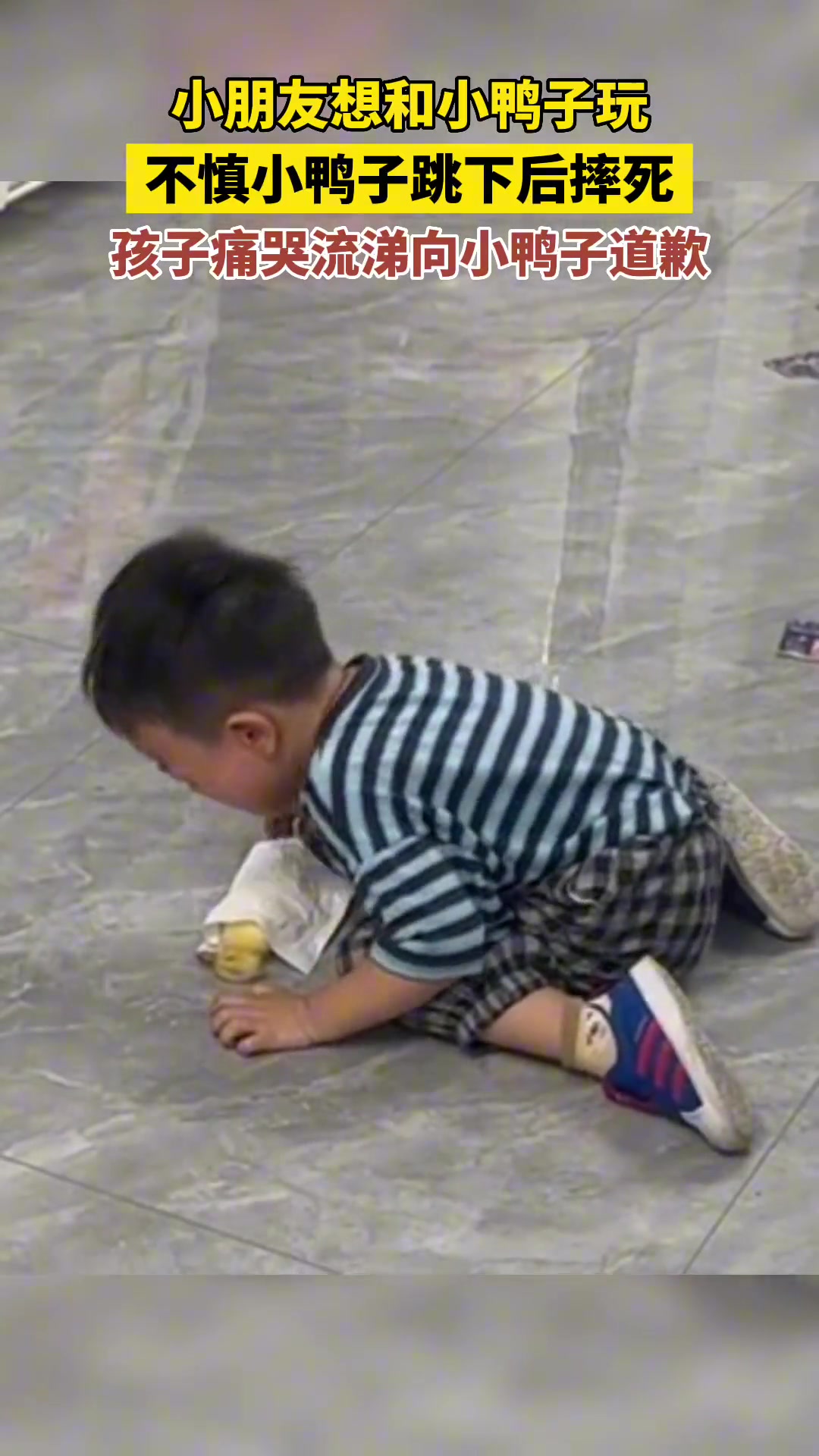小鸭子不慎摔死，孩子痛哭流涕向小鸭子道歉