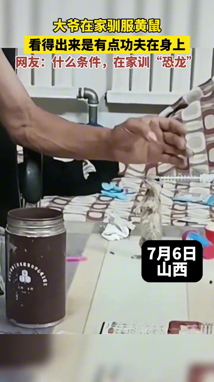 大爷在家训服黄鼠，看得出来是有功夫在身上的