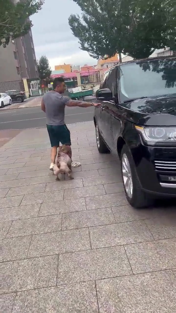 真是白长了这一身腱子肉
