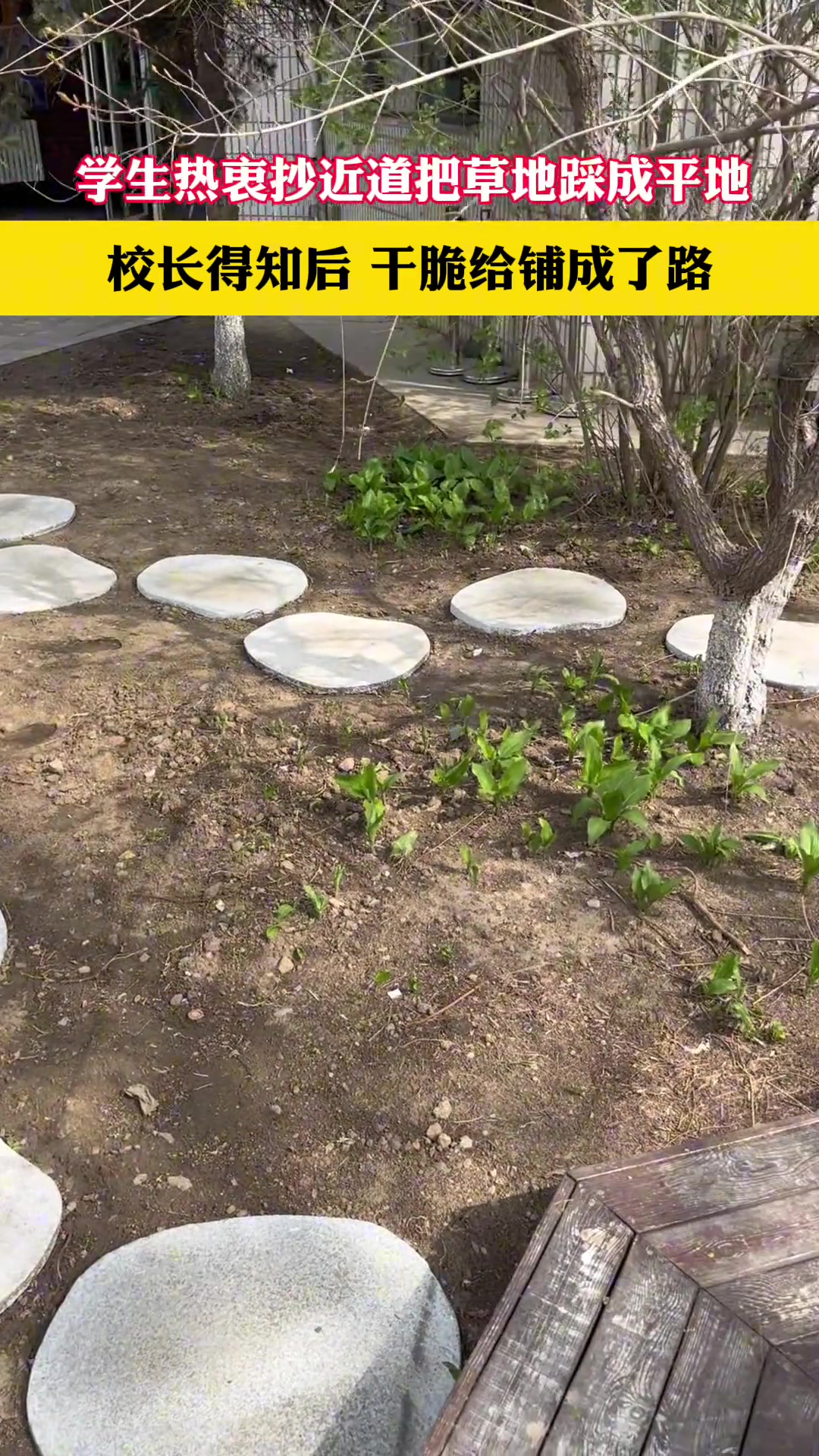 学生热衷抄近道把草地踩成平地，校长得知后干脆铺成路
