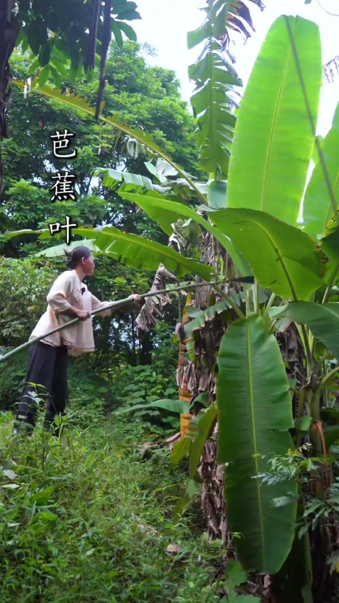 卡颈食物芭蕉叶糍粑，看着就流口水