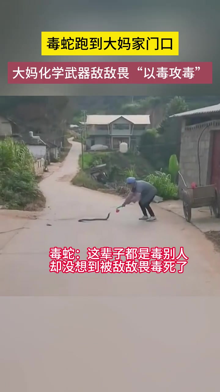 蛇：这辈子就这口咬的最没有力！