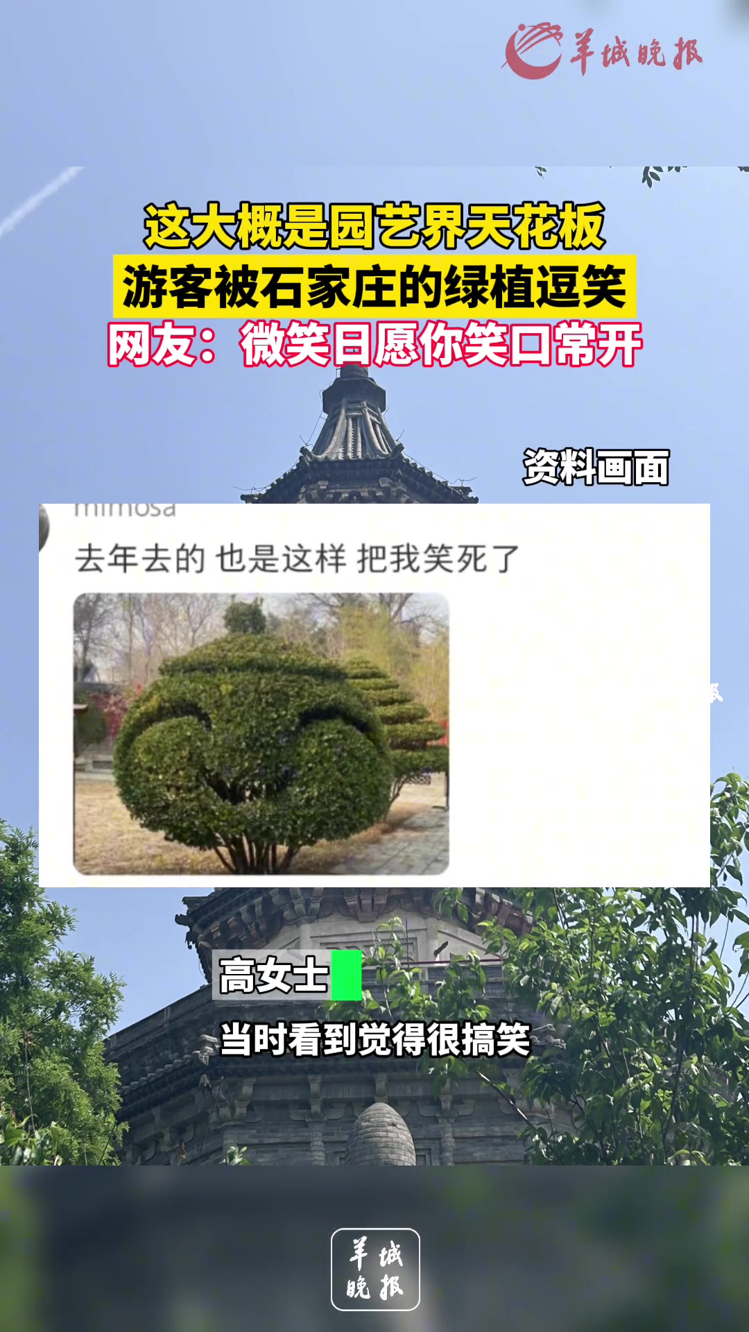 这大概是园艺界的天花板，游客被石家庄的绿植逗笑