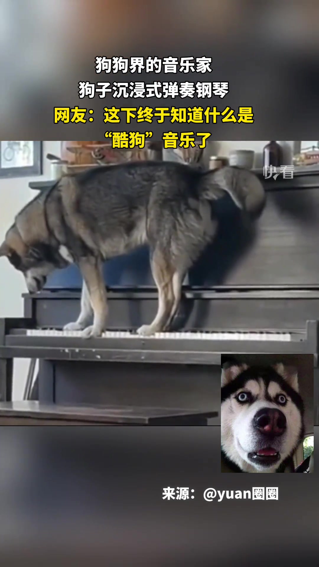 让大家见识一下什么是“酷狗”音乐~