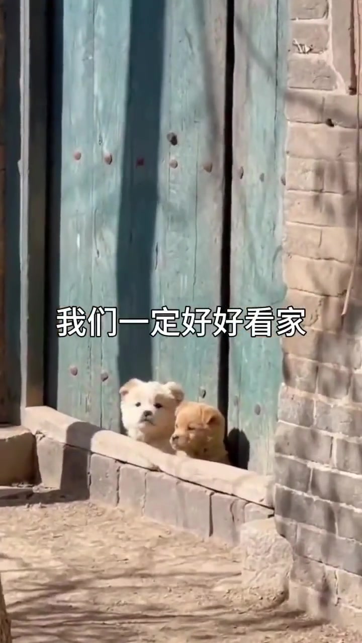 我们一定等你回来