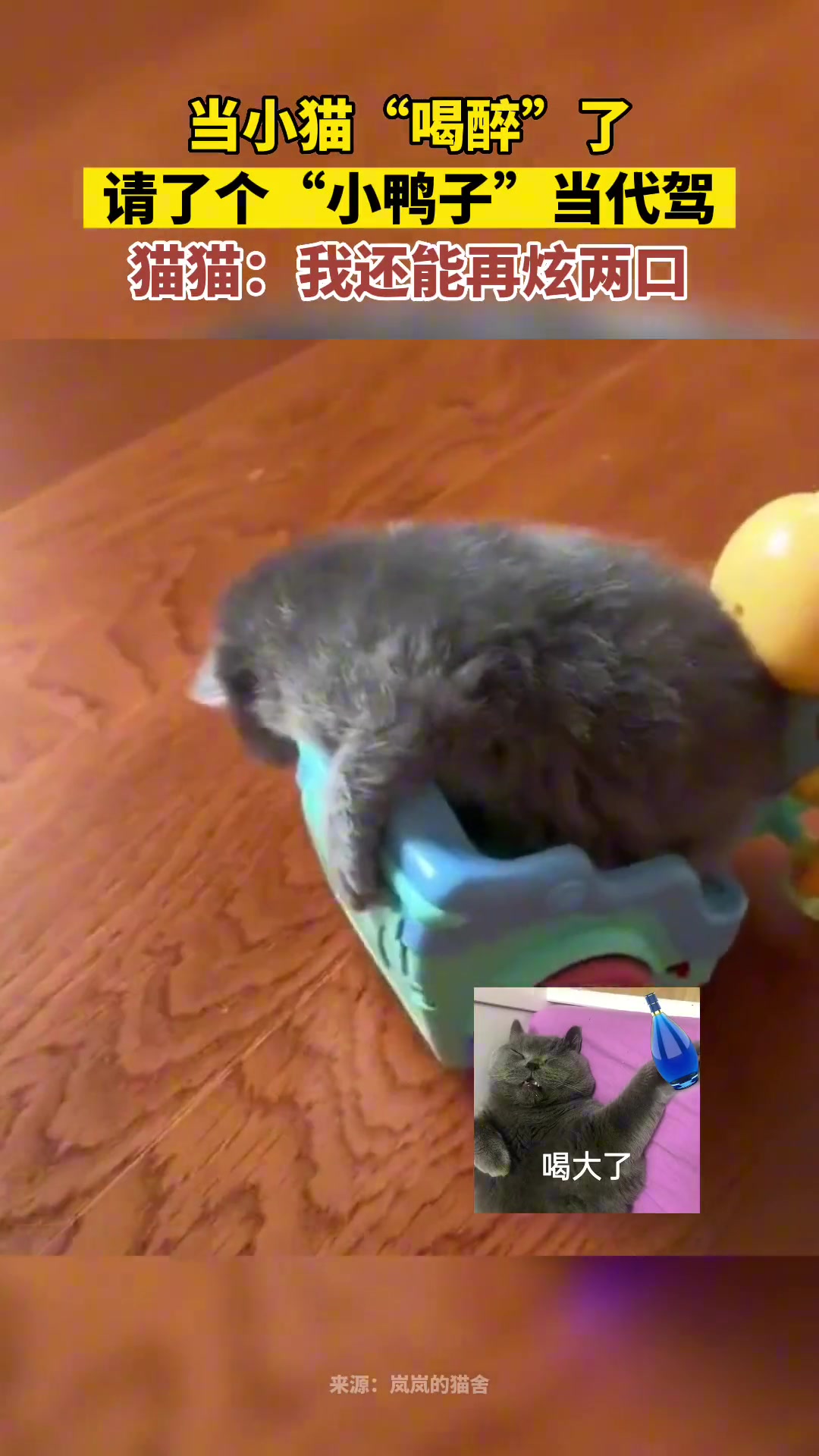 小猫现在都有代驾了是吧