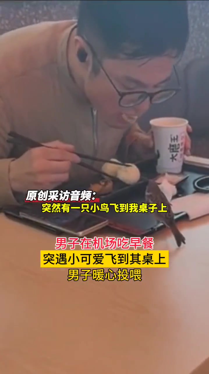 男子吃早餐遇小鸟飞到桌上 男子暖心投喂
