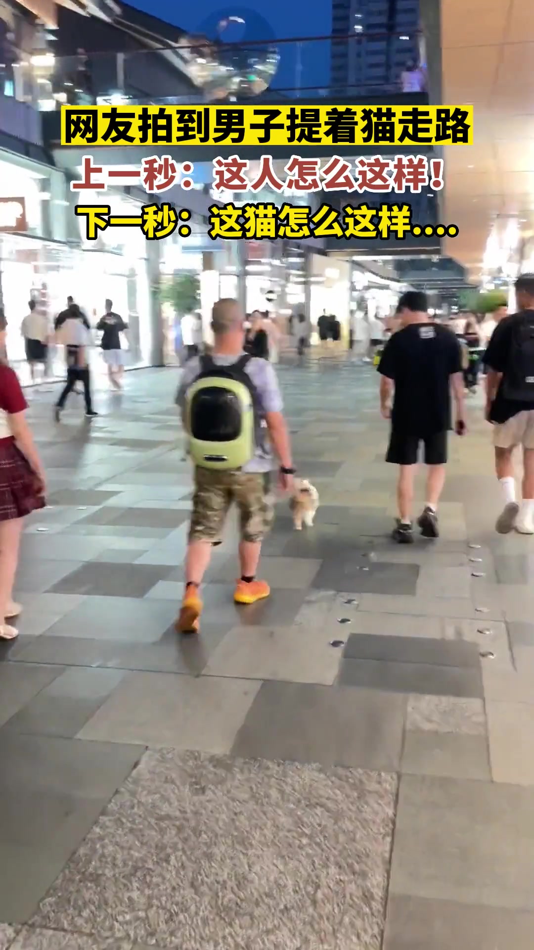 还以为这主人怎么这么遛猫，看到后面才知道是猫的问题