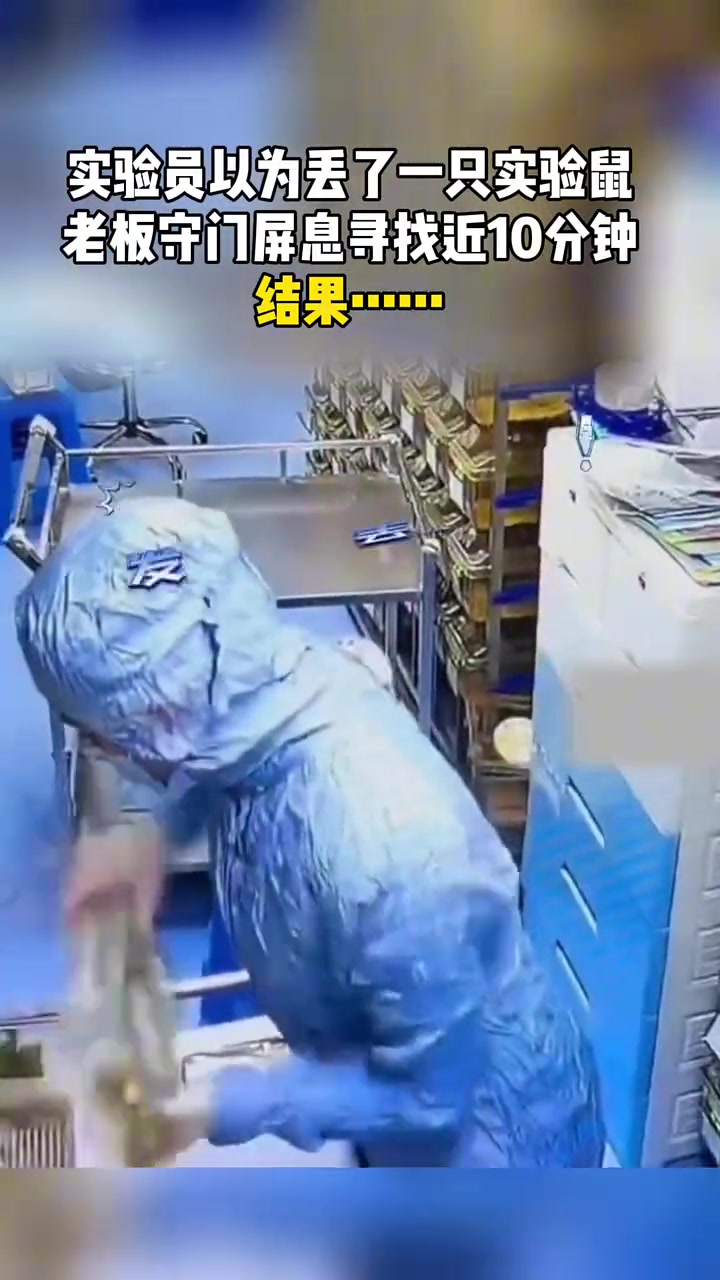 实验员以为丢了一只实验鼠，找了近10分钟结果…