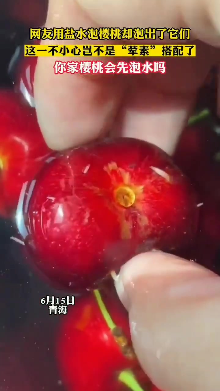 人一辈子在无意中会吃掉大概70斤虫子