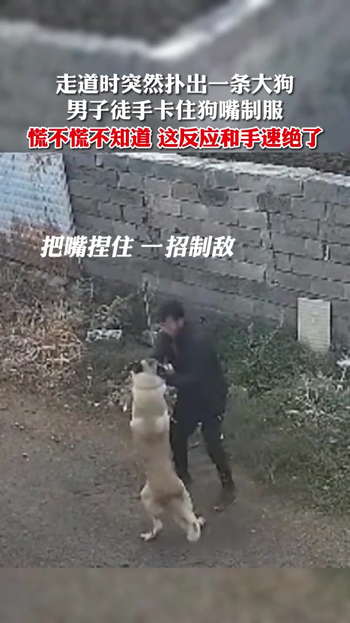 走道时突然扑出一条大狗，男子徒手卡住狗嘴制服