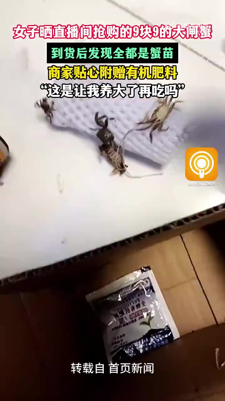 养成 湖大闸蟹