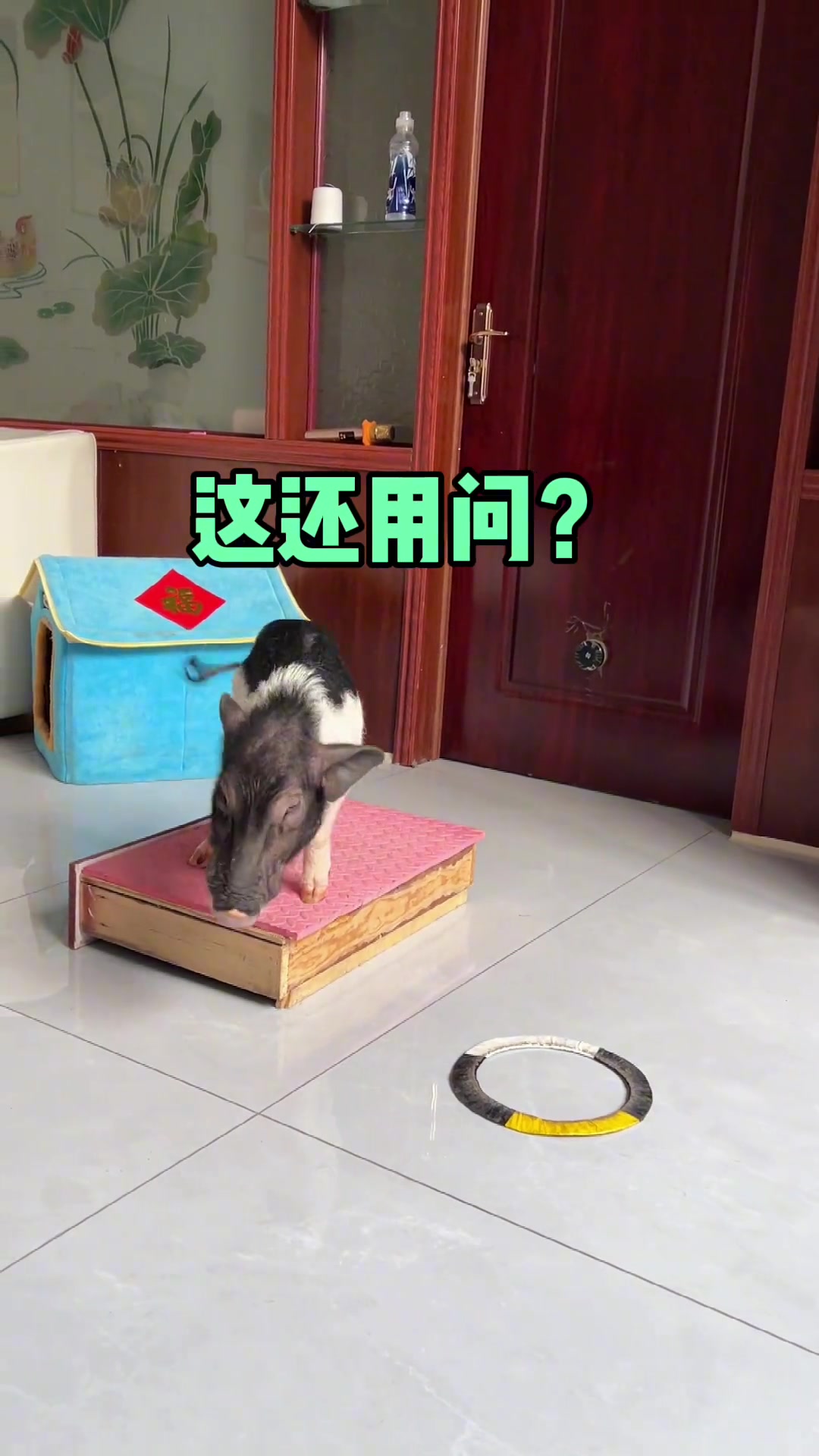 说话算话 假一赔三