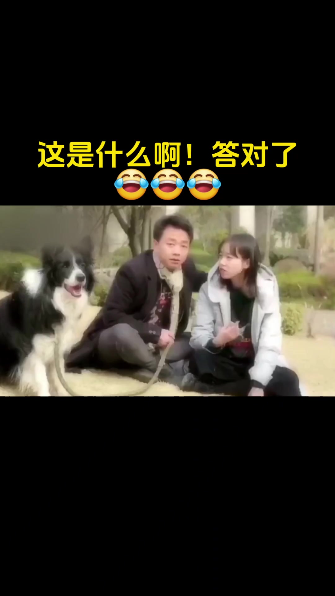 我地天太聪明了。