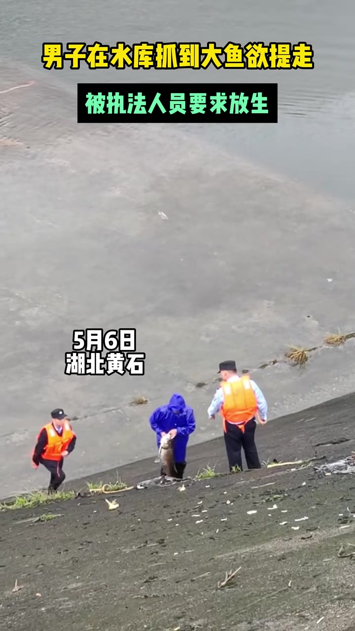 这下都知道你钓大鱼！这段视频发到网上钓鱼佬已经赢了