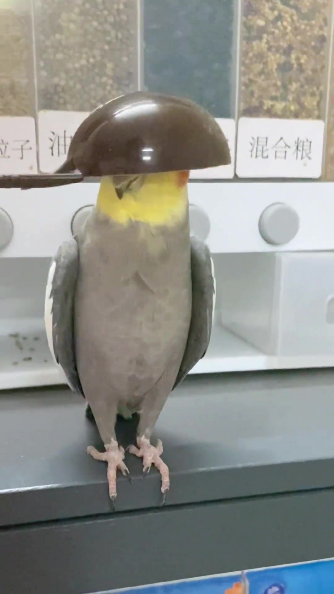 请大家站在道德的最高点对他指指点点