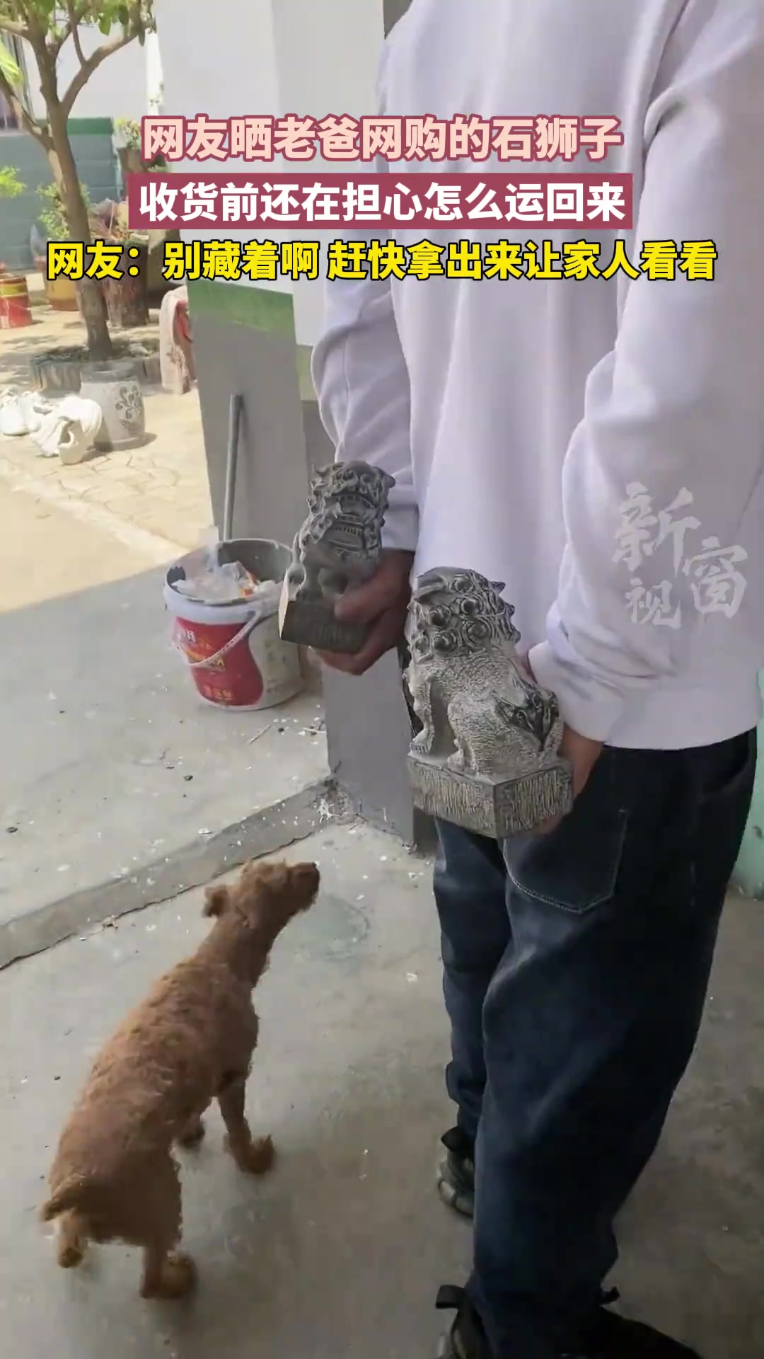网友晒老爸网购的石狮子......
